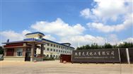 三家橡胶助剂企业获河南省制造业单项冠军