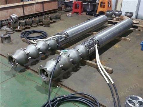 立式304不锈钢潜水泵