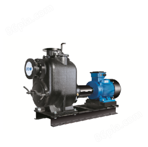 SP(50Hz)单级单吸无堵塞自吸式排污泵