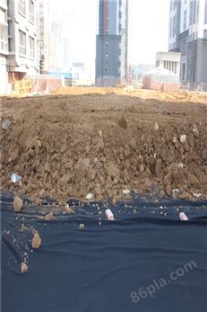 排水板施工回填土