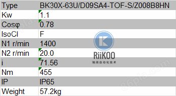BAUER减速机BK30X-63UD09SA4-TOF-SZ008B8HN 瑞阔自动化 RIIKOO.png